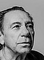 Larry Fleischman