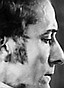 Nigel De Brulier