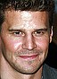 David Boreanaz