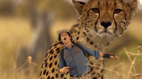 Andy i zwierzęta świata: Safari Okawango (33)