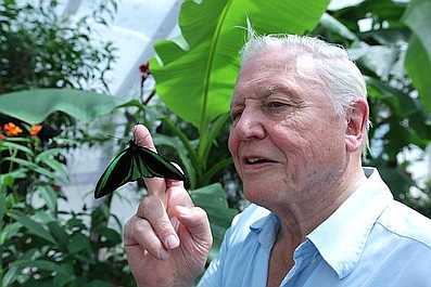 Arka Davida Attenborough