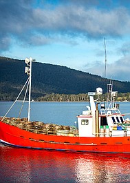 Australijscy poławiacze homarów 3: Poławiacze kontra żywioły (10)
