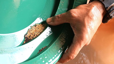 Australijscy poszukiwacze złota 10 (6)