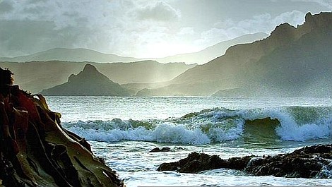 BBC w Jedynce: Dzika Nowa Zelandia: Nowi przybysze (3)