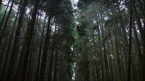 Bliskie spotkania ze zwierzętami: Mokradło (2/6)