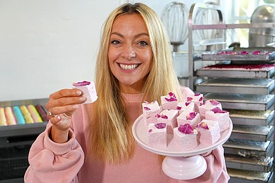 Brytyjskie fabryki 10 (4)