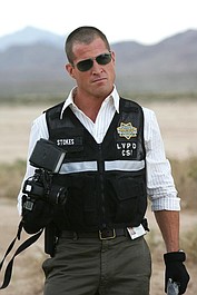 CSI: Kryminalne zagadki Las Vegas 5 (4)