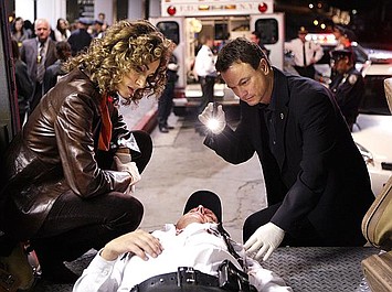 CSI: Kryminalne zagadki Nowego Jorku 5: Trójkąt (10)