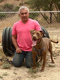 Cesar Millan: lepszy człowiek, lepszy pies: Psia terapia (9)