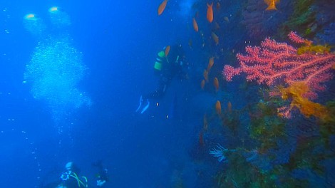 Cieśniny. Między lądem a morzem (1)