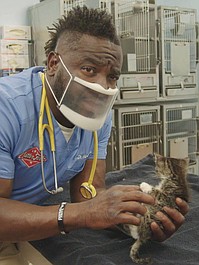 Critter Fixers - Zwierzęcy cudotwórcy: koty: Koci stan umysłu (1)