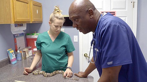 Critter Fixers - zwierzęcy cudotwórcy: węże: Wąż też pacjent (1)