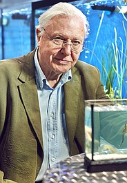 David Attenborough i cuda natury 2 (10)