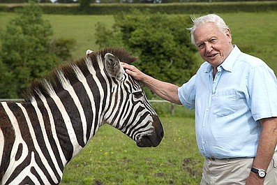 David Attenborough i cuda natury (5)