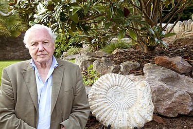 David Attenborough i cuda natury 3 (6)