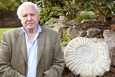David Attenborough i cuda natury: Rozciągnięte do granic możliwości (1)