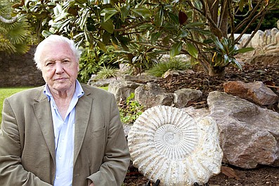 David Attenborough i cuda natury: Cudowna spirala (4)