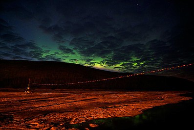 Dzika Alaska: Lato (2)