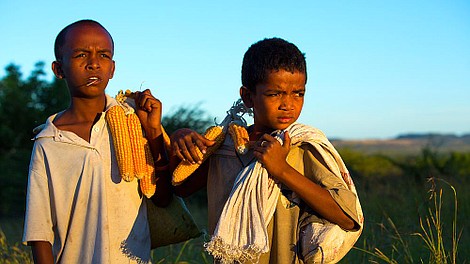 Ekstremalne drogi do szkoły (3)