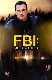 FBI: Most Wanted 3 (9)