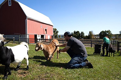 Farma pełna miłości (6/11)