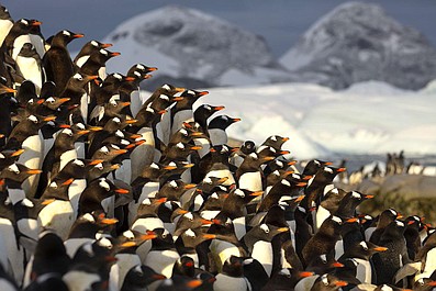 Jedna planeta. Siedem kontynentów: Ameryka Południowa (3)