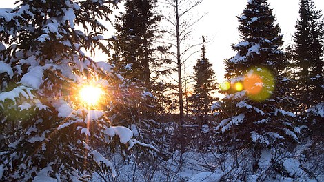 Kanada: cztery pory roku: Zima (2)