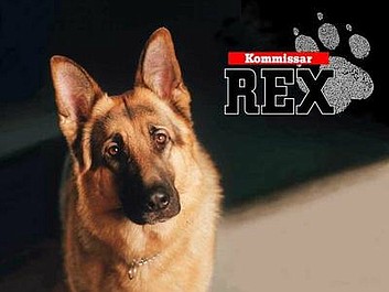 Komisarz Rex (10)
