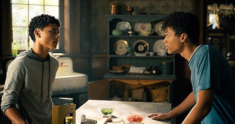 Kroniki Spiderwick: Przewodnik terenowy Jareda Grace'a (7)