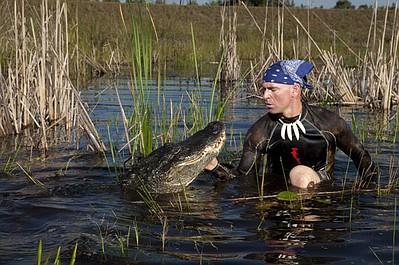 Łowcy aligatorów: Waleczny aligator