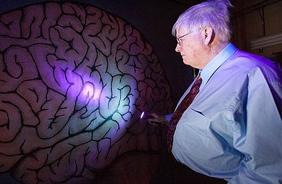 Megaodkrycia: Rozszyfrować mózg