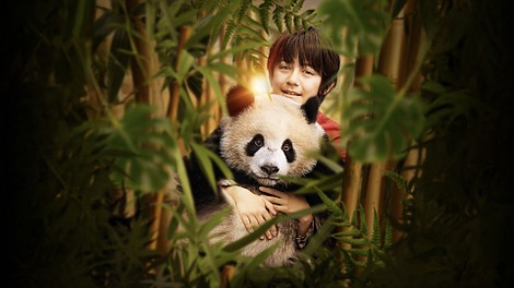 Moon: Panda i ja