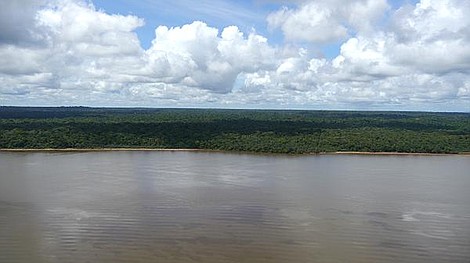 Natura w Jedynce: Essequibo: Ukryta rzeka (2/3)
