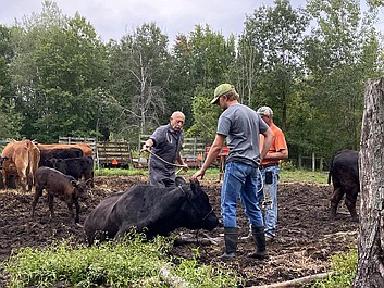 Niezwykły dr Pol: O rany, jakie rany! (3)