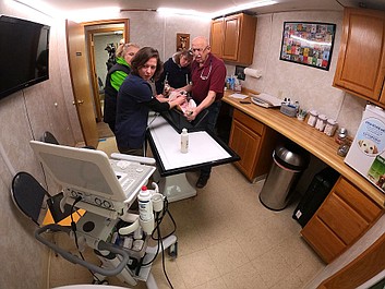 Niezwykły dr Pol: Ara spryciara (7)