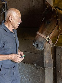 Niezwykły dr Pol: Kot włóczykij (3)