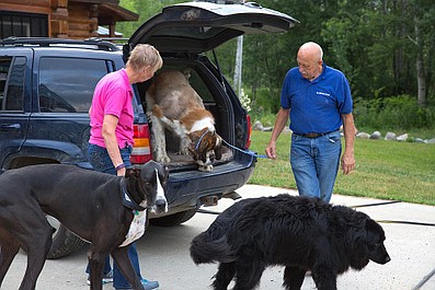 Niezwykły dr Pol: Małe zwierzęta - duże kłopoty (11)