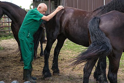 Niezwykły dr Pol: Łapać koziołka! (4)