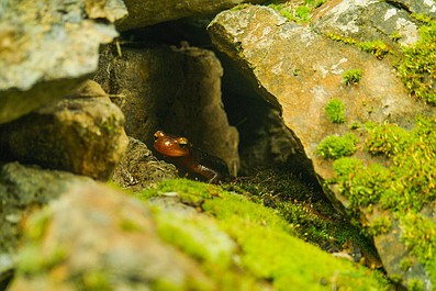 Parki narodowe Ameryki: Wielki Kanion (1)