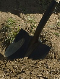 Pogrzebani za domem 3: Pogrzebani w lesie: Pierwsza miłość, ostatni oddech (10)