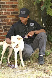 Policja dla zwierząt w Detroit: Bokser o miękkim sercu
