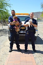 Policja dla zwierząt w Phoenix (2)