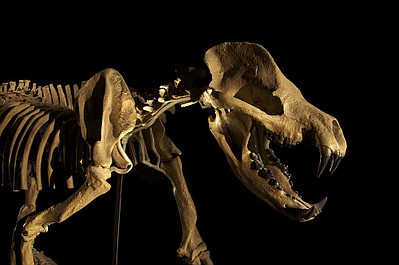 Prehistoryczne bestie: Tyranozaur z głębin (2)