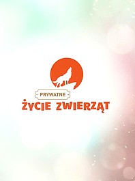 Prywatne życie zwierząt 14: Koniowate (3)