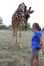 Sekrety zoo: po dzikiej stronie: Nowe pokolenia (2)