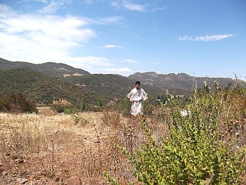 Śmierć na 1000 sposobów (2)