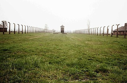 Sonderkommando Auschwitz-Birkenau