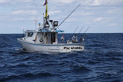 Stawka warta tuńczyka: Kontratak Południa