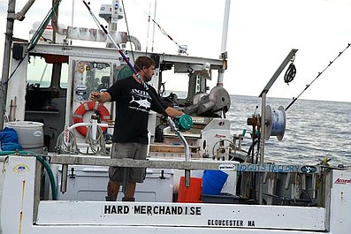 Stawka warta tuńczyka: Impreza w Maine