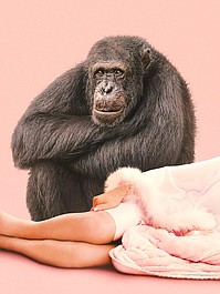 Szympans, moja miłość (2)